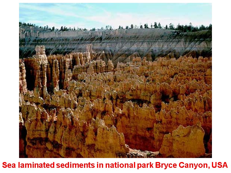 Sea laminated sediments in national park Bryce Canyon, USA